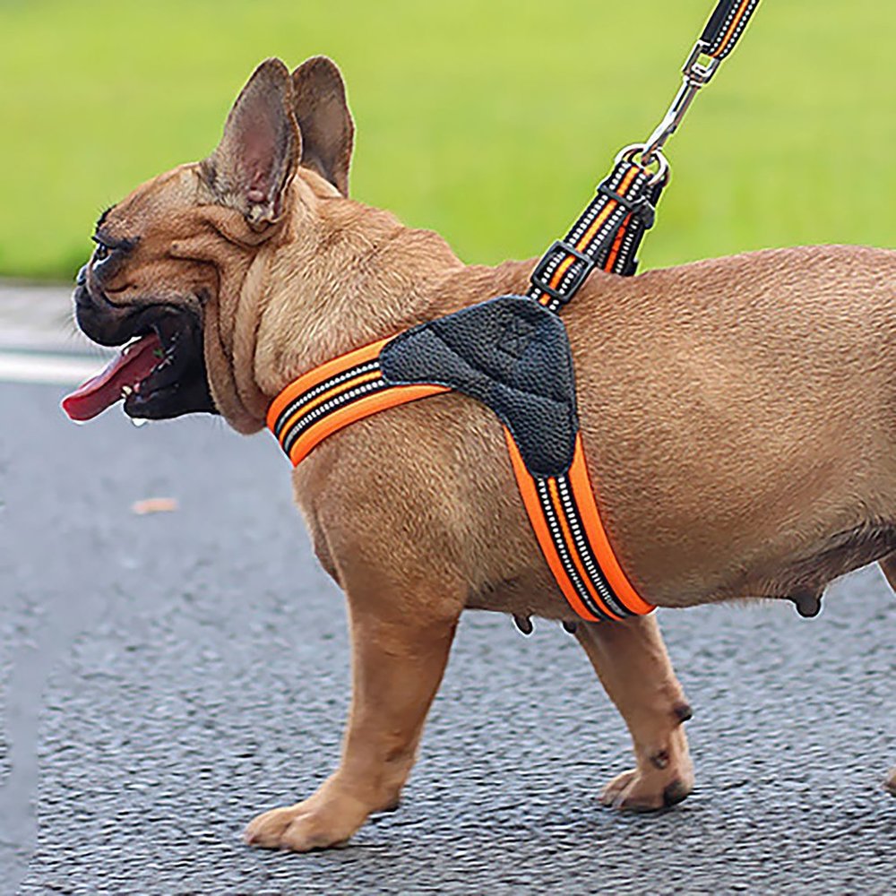 Orange Reflective Dog Harness and Leash Set